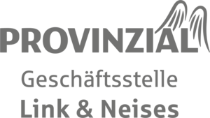 JFV_Bitburg_-_Sponsor_provinzial-link-neises